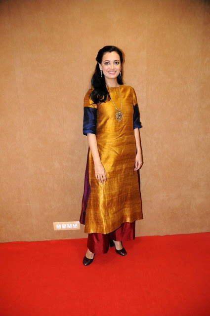 Bollywood Actress Dia Mirza Photos In Yellow Dress 144